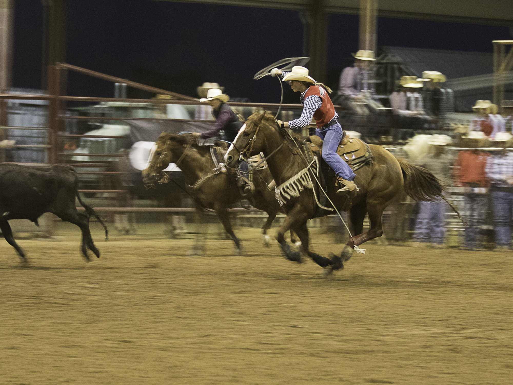 Get roped in! Saddle up with our Pioneer Cowboys and Cowgirls!